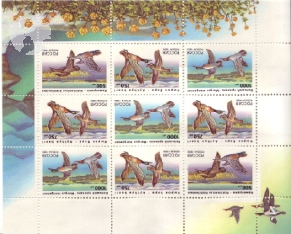 RUS 0462 / 0464 KLBG ** - 1995